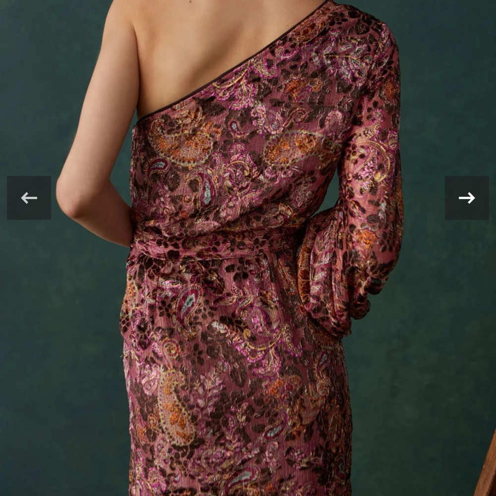 Hemant & Nandita Vera Long Dress size small - Picture 3 of 6